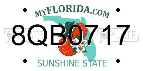 8QB0717 Florida License Plate