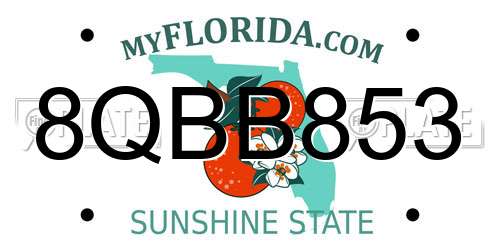 8QBB853 Florida License Plate