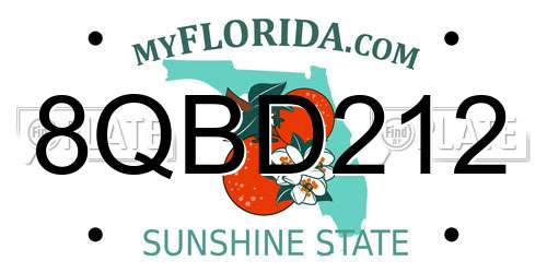 8QBD212 Florida License Plate