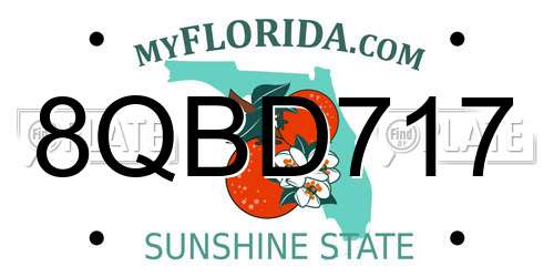 8QBD717 Florida License Plate