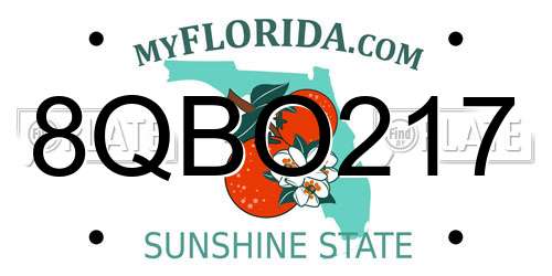 8QBO217 Florida License Plate