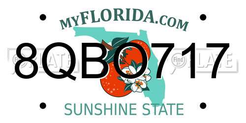 8QBO717 Florida License Plate