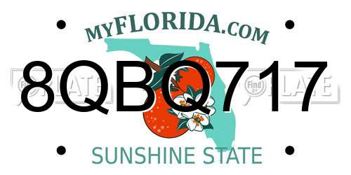 8QBQ717 Florida License Plate