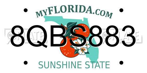 8QBS883 Florida License Plate