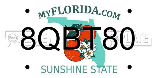 8QBT80 Florida License Plate