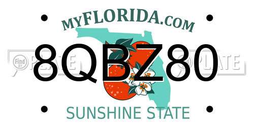 8QBZ80 Florida License Plate