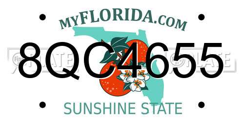 8QC4655 Florida License Plate