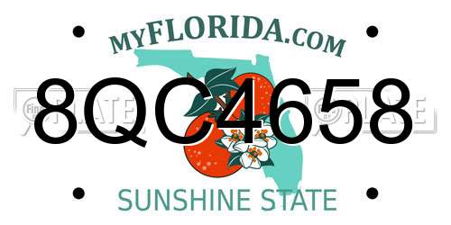 8QC4658 Florida License Plate