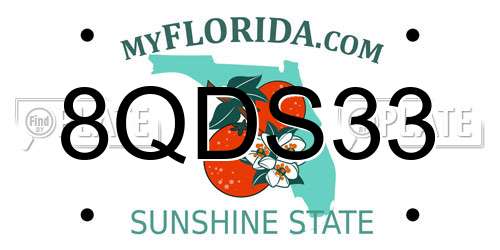 8QDS33 Florida License Plate