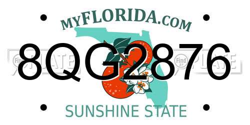 8QG2876 Florida License Plate