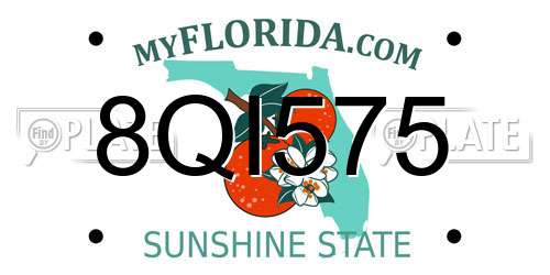 8QI575 Florida License Plate