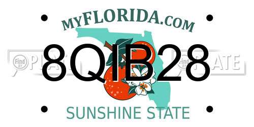 8QIB28 Florida License Plate