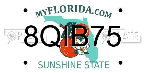 8QIB75 Florida License Plate