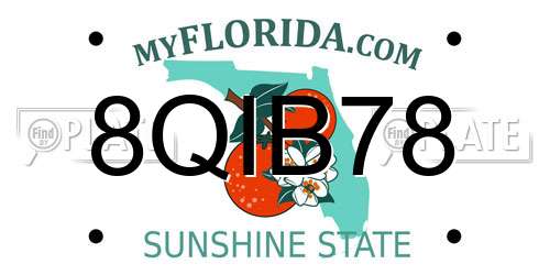 8QIB78 Florida License Plate