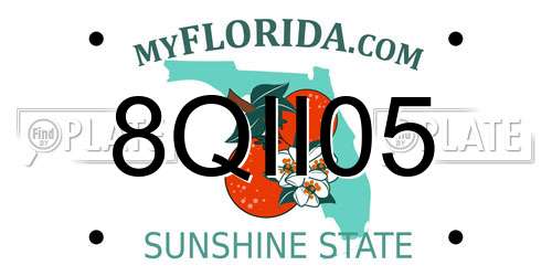 8QII05 Florida License Plate
