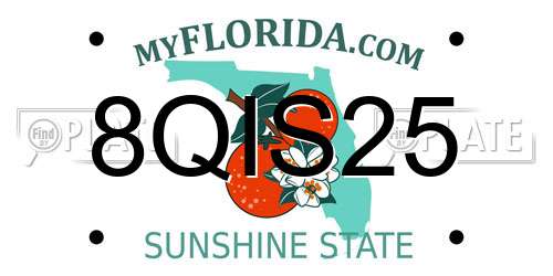 8QIS25 Florida License Plate