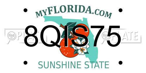 8QIS75 Florida License Plate