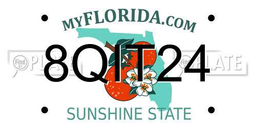 8QIT24 Florida License Plate