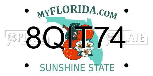 8QIT74 Florida License Plate