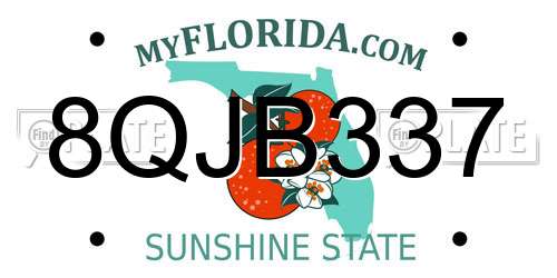 8QJB337 Florida License Plate