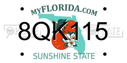 8QK115 Florida License Plate