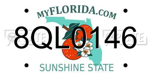 8QL0146 Florida License Plate