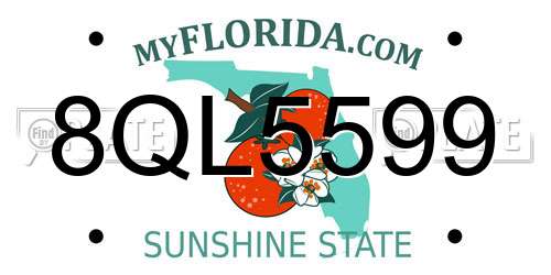 8QL5599 Florida License Plate