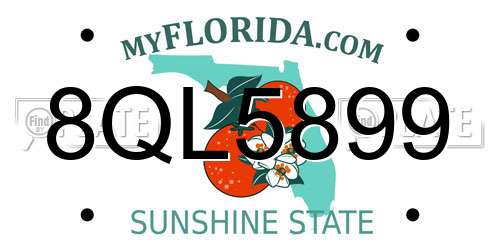 8QL5899 Florida License Plate