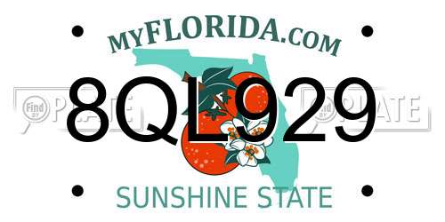 8QL929 Florida License Plate
