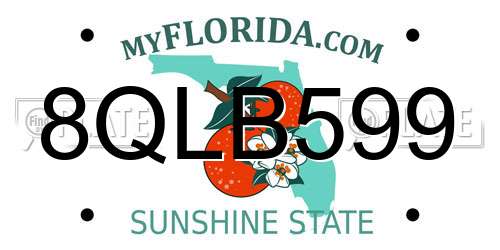 8QLB599 Florida License Plate