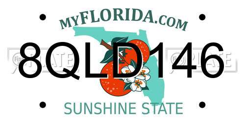 8QLD146 Florida License Plate