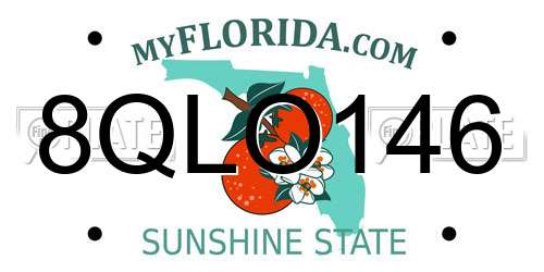 8QLO146 Florida License Plate