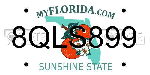8QLS899 Florida License Plate