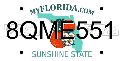 8QME551 Florida License Plate