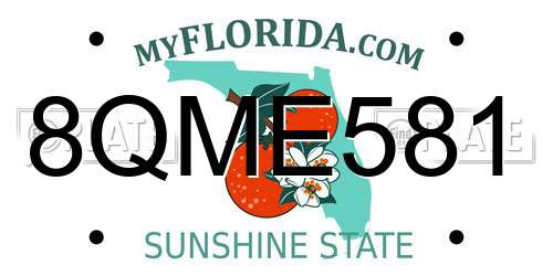 8QME581 Florida License Plate