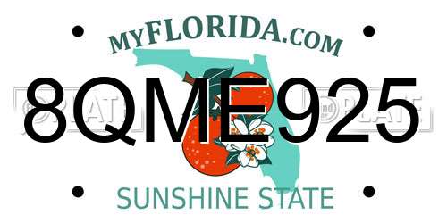 8QME925 Florida License Plate