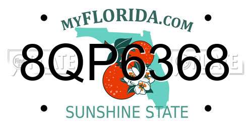 8QP6368 Florida License Plate