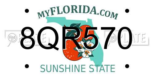 8QR570 Florida License Plate