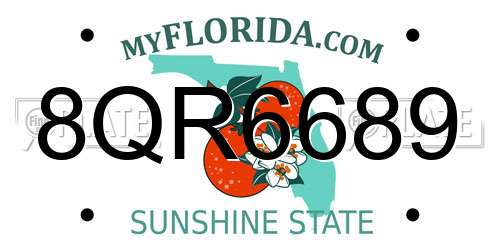 8QR6689 Florida License Plate