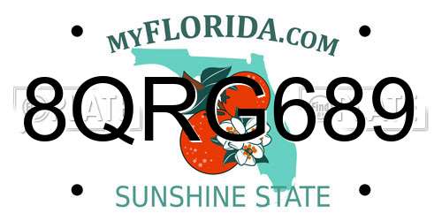 8QRG689 Florida License Plate