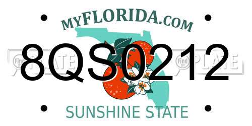 8QS0212 Florida License Plate