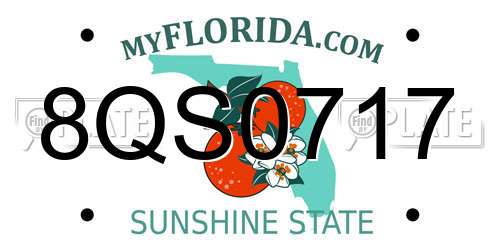 8QS0717 Florida License Plate