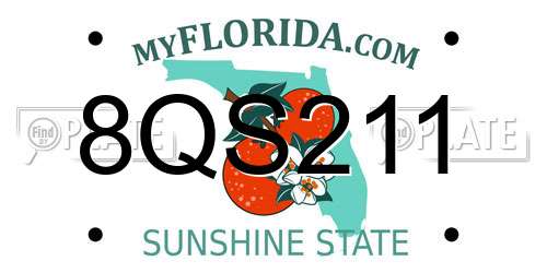 8QS211 Florida License Plate