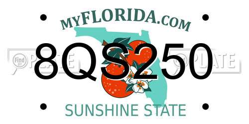 8QS250 Florida License Plate