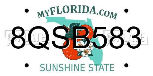 8QSB583 Florida License Plate