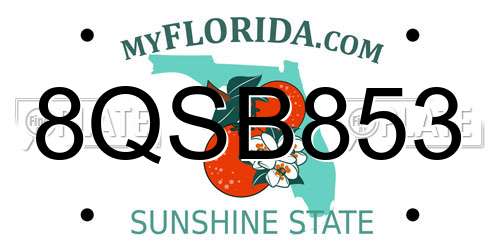 8QSB853 Florida License Plate