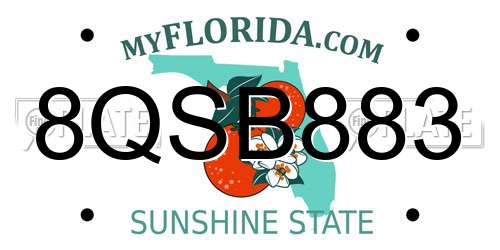 8QSB883 Florida License Plate