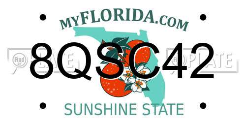 8QSC42 Florida License Plate