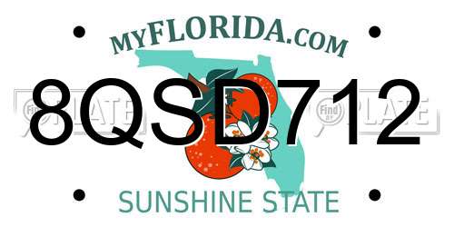 8QSD712 Florida License Plate