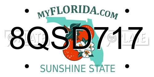 8QSD717 Florida License Plate